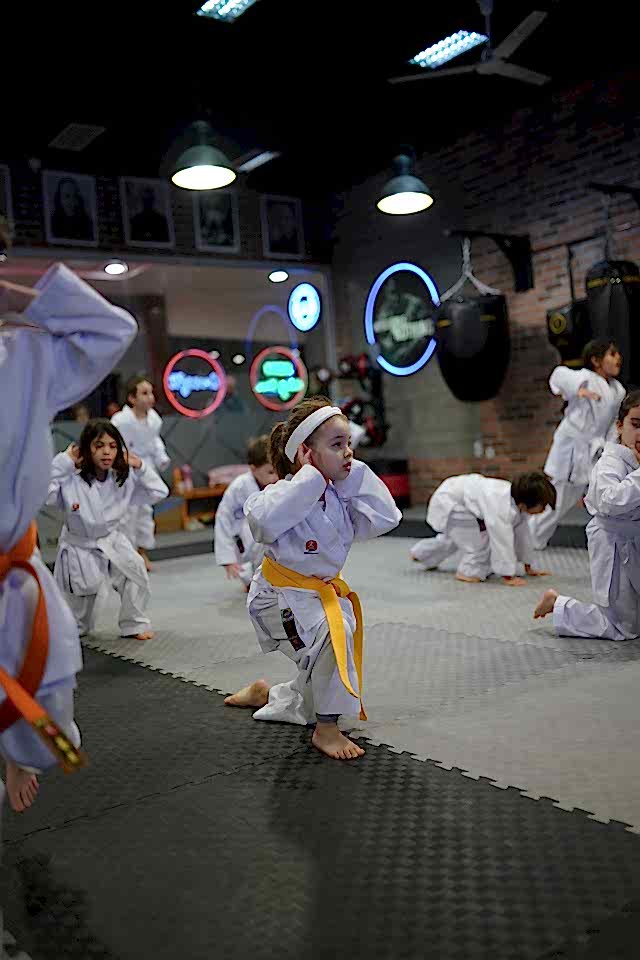 Aikido kurslarının faydaları nelerdir?