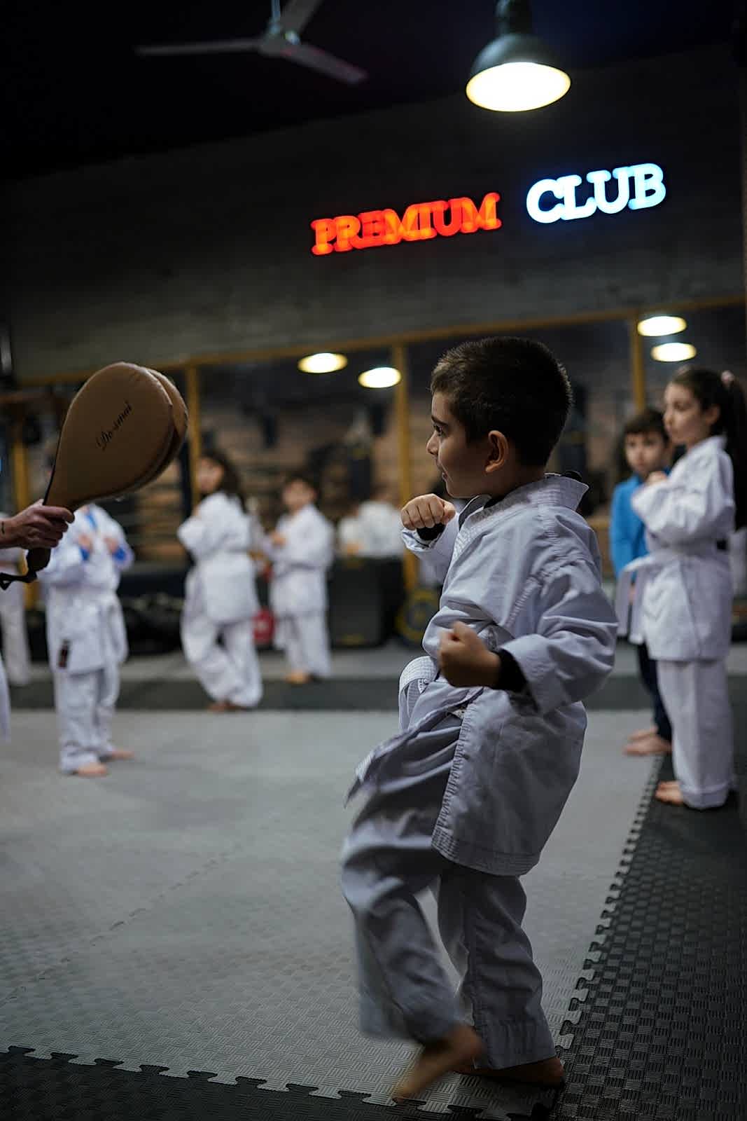 taekwondo kurslari