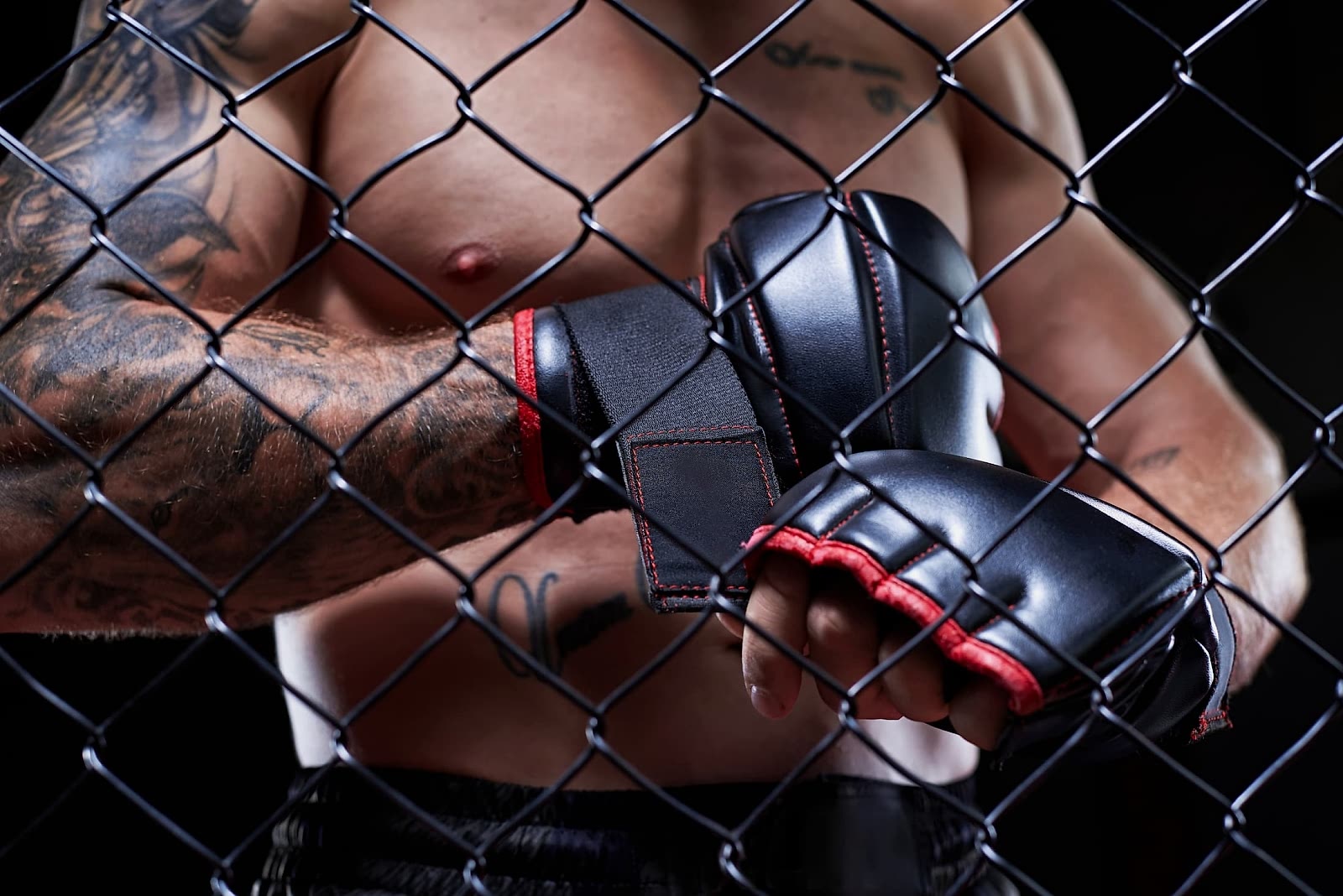 İzmir MMA Kursu